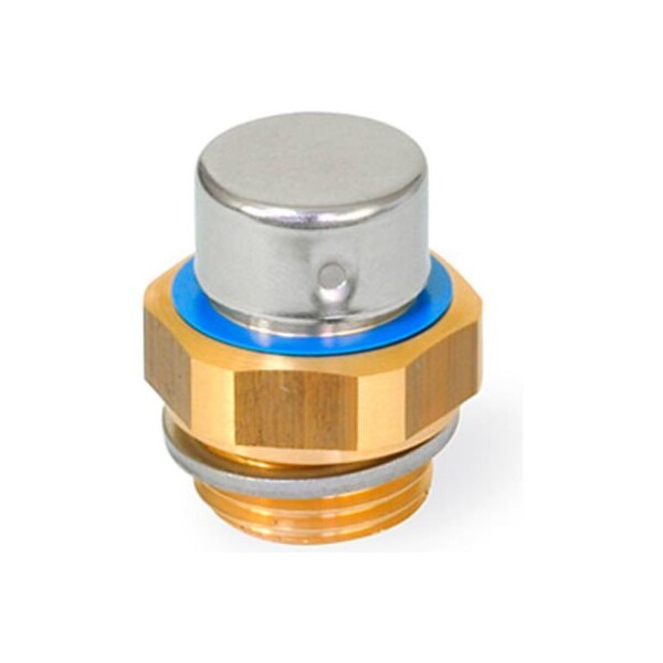 Brass Breather Filter with G 3/8" Pipe Thread - J.W. Winco 882-G3/8-MS-M